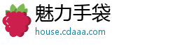 魅力手袋